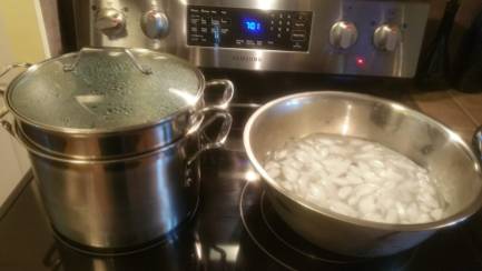Marinara Sauce Boiling Water & Ice Bath